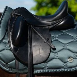 Here's an alt tag for the image: > Teal saddle pad and black saddle on horse.