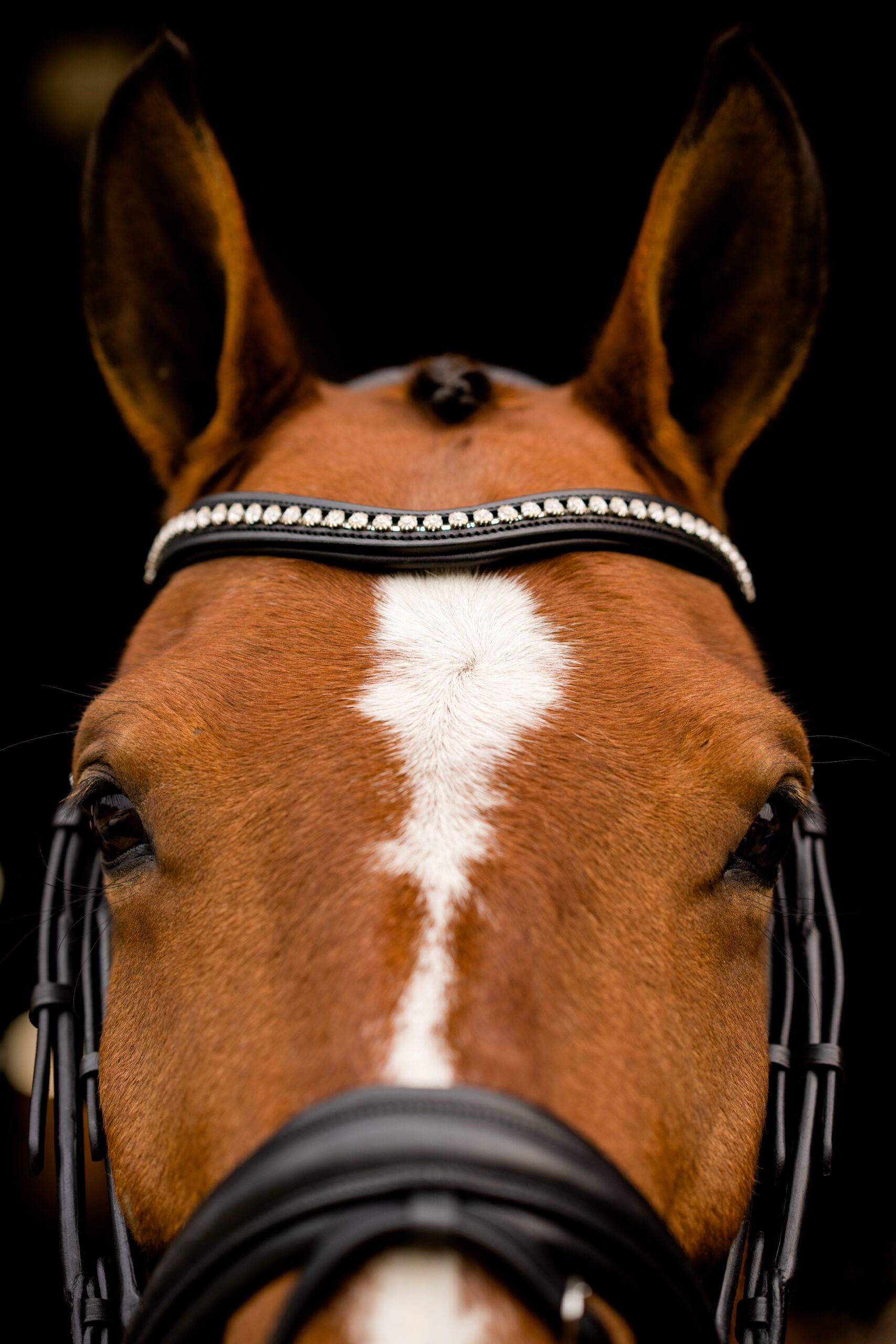 KL Select Flexion Patent Rolled Dressage Bridle with Reins