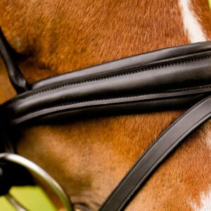 KL Select Flexion Patent Rolled Dressage Bridle with Reins