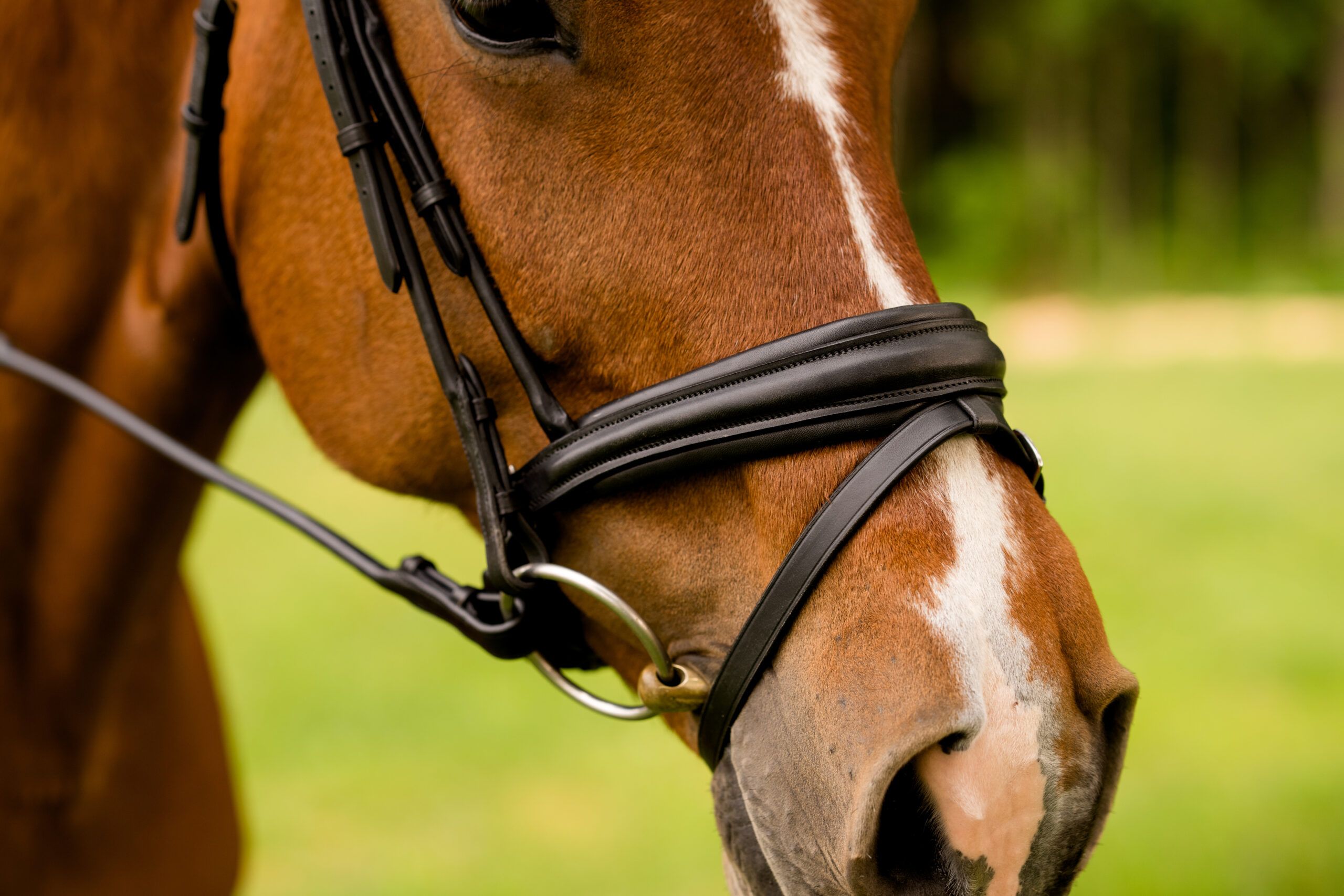 KL Select Flexion Patent Rolled Dressage Bridle with Reins
