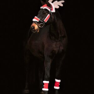 Walhasuen Christmas Set for Horses