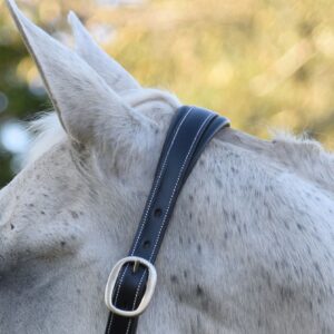 KL Select Rachel Show Halter Extra Wide Black Padding - Cob