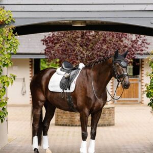 LeMieux Suede Dressage Square White