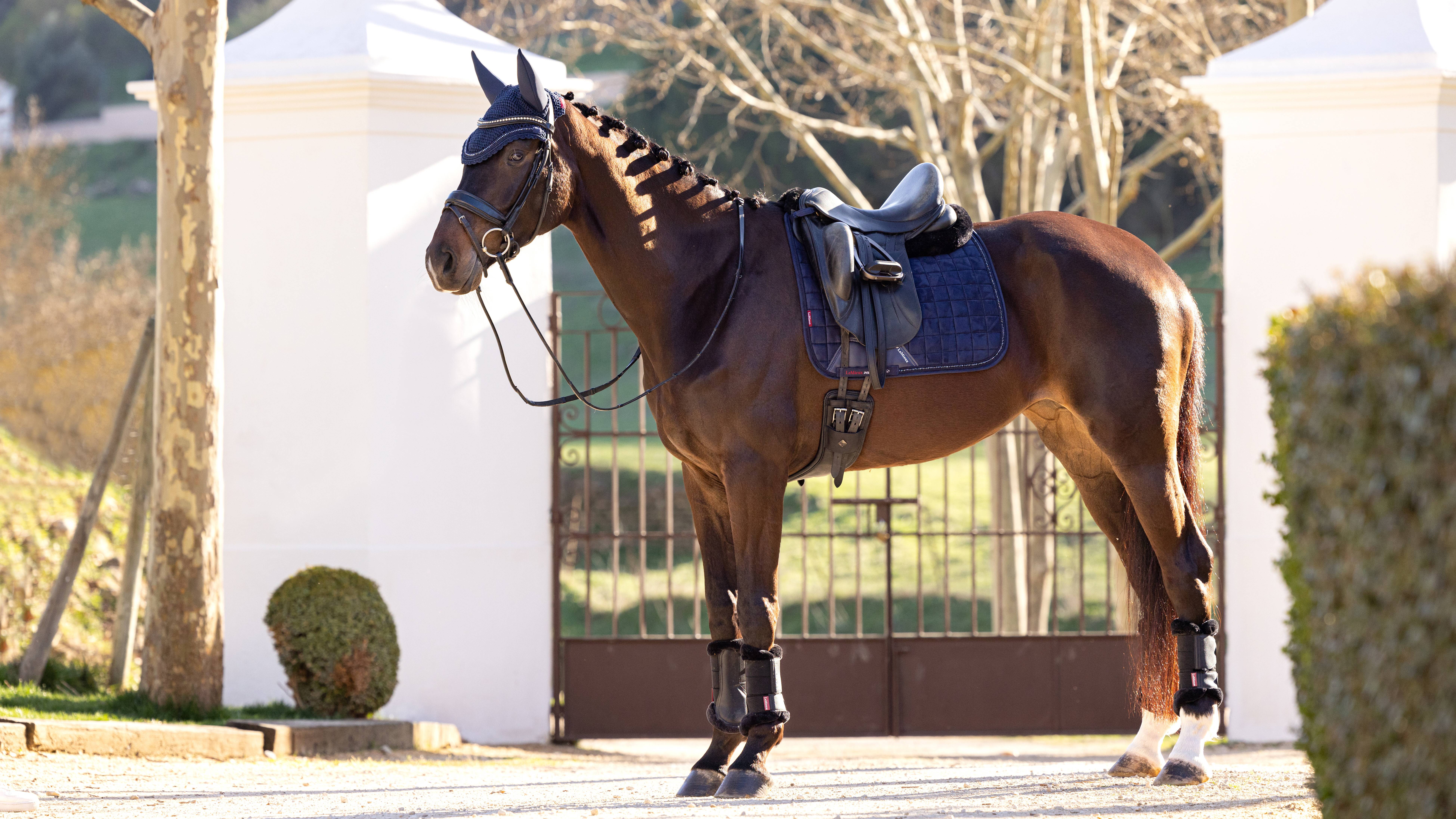 LeMieux Diamante Dressage Square Pad