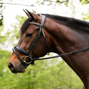 KL Select Flexion Patent Rolled Dressage Bridle with Reins