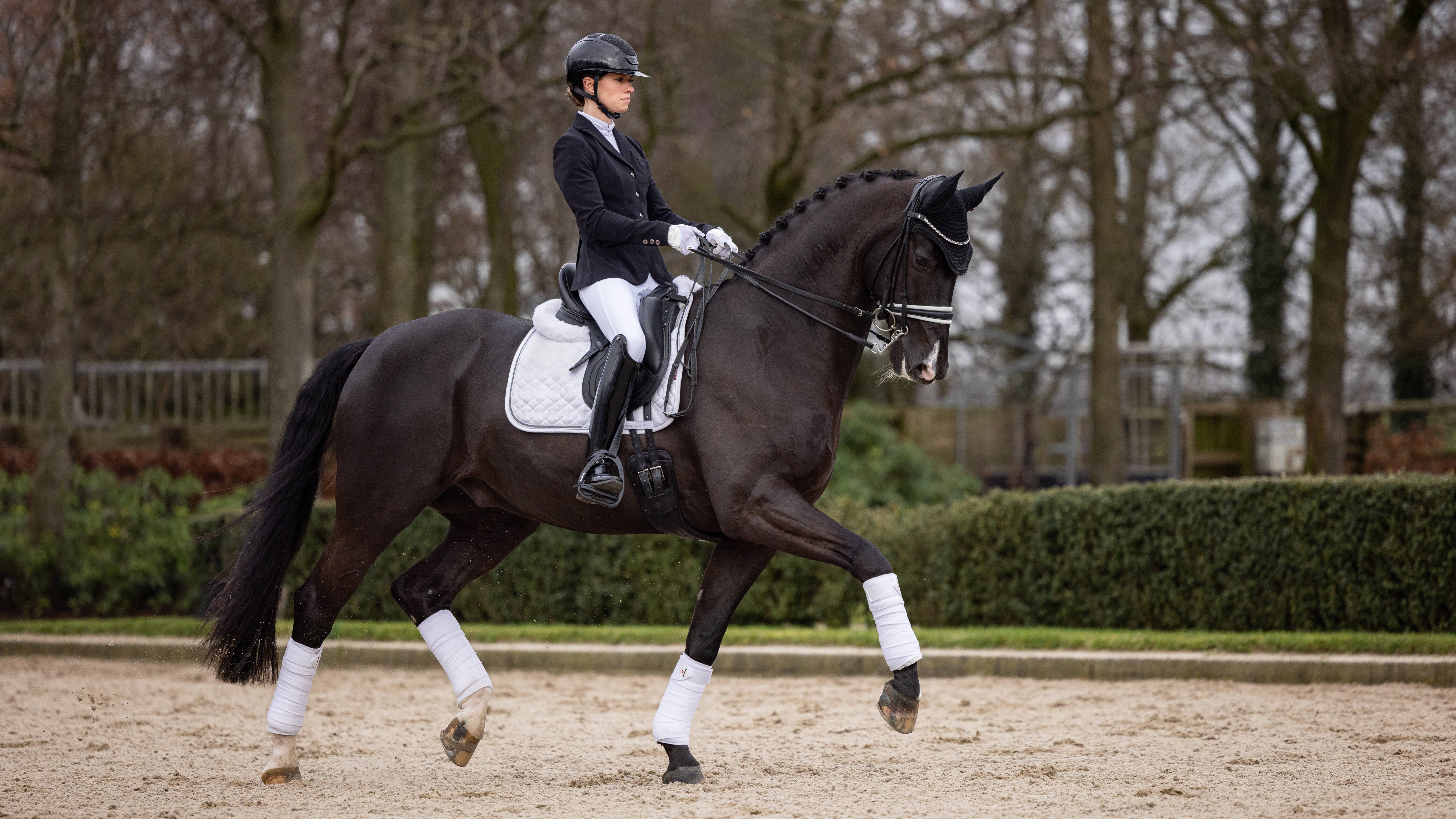 LeMieux Crystal Suede Dressage Pad White
