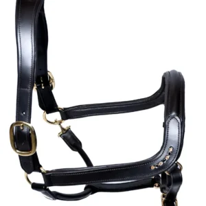 Bridleberry Leather Tack & Co Leather Show Halter w/row of Gems at the Curve of the Nose Band, Designed for a Clip Lead Black