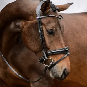 PS of Sweden Bridle GP Black Lacquer Full