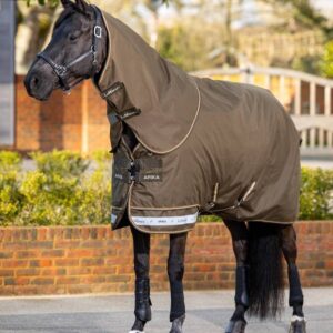 LeMieux Arika Horse Turnout 6'6" or 78 Alpine