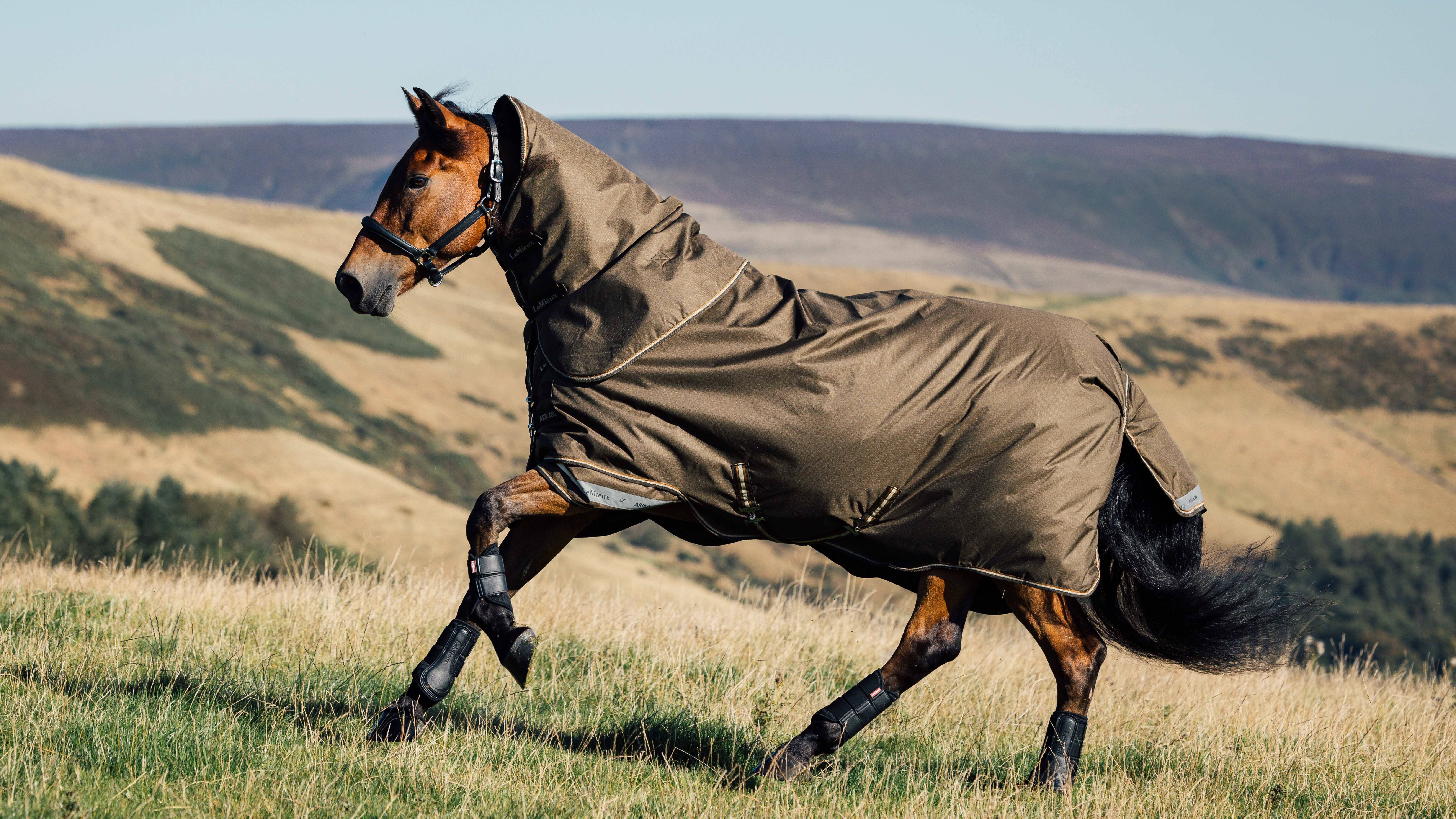 LeMieux Arika Horse Turnout 6'6" or 78 Alpine