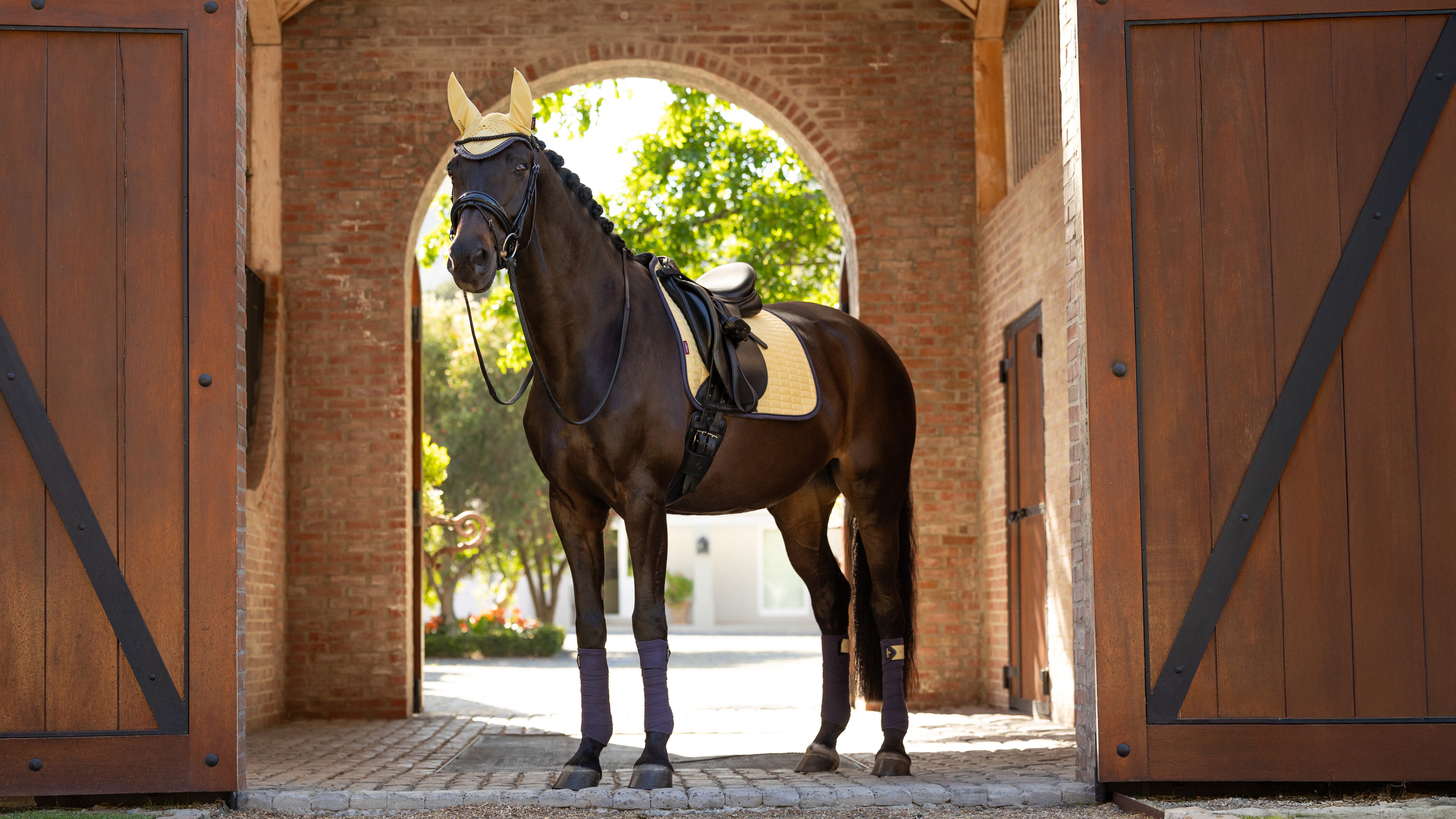LeMieux Suede Dressage Square Mimosa Large