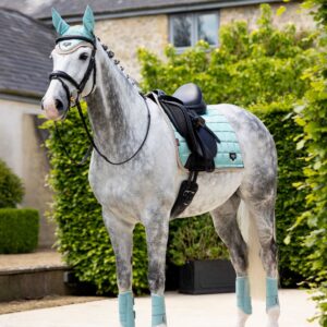 LeMieux Loire Classic Dressage Square Aqua