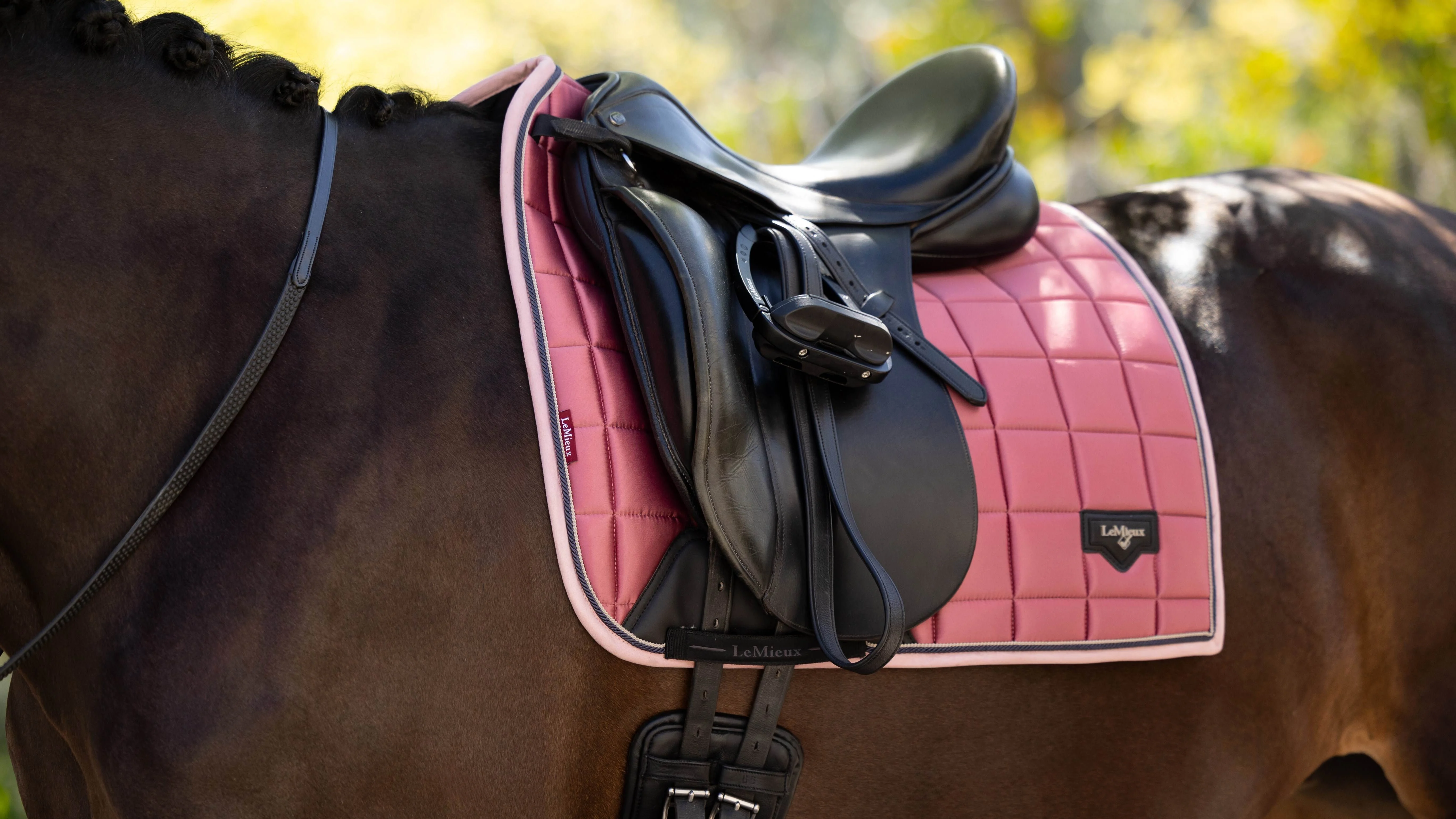 LeMieux Loire Classic Dressage Square Peony