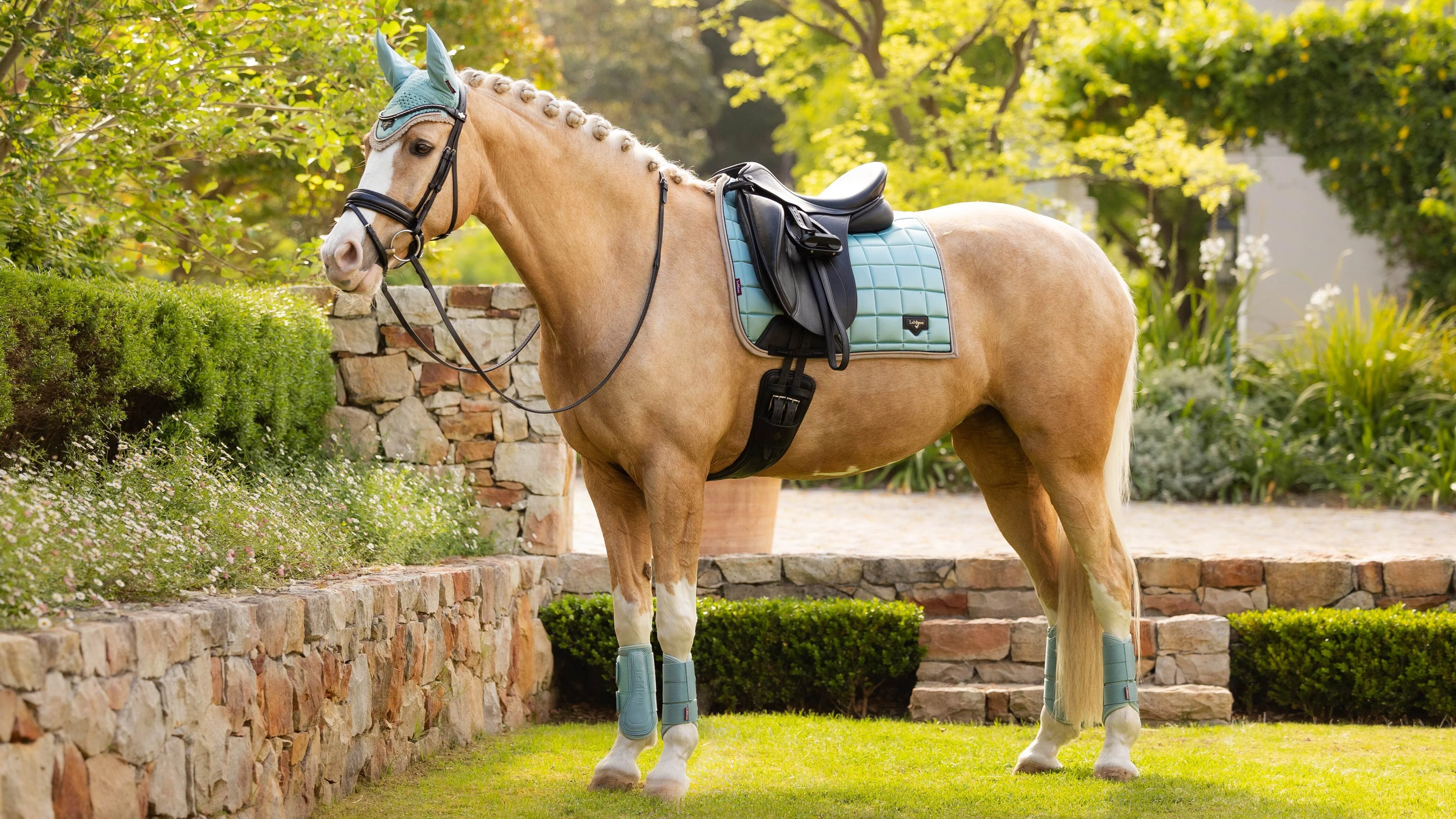 LeMieux Loire Classic Dressage Square Aqua