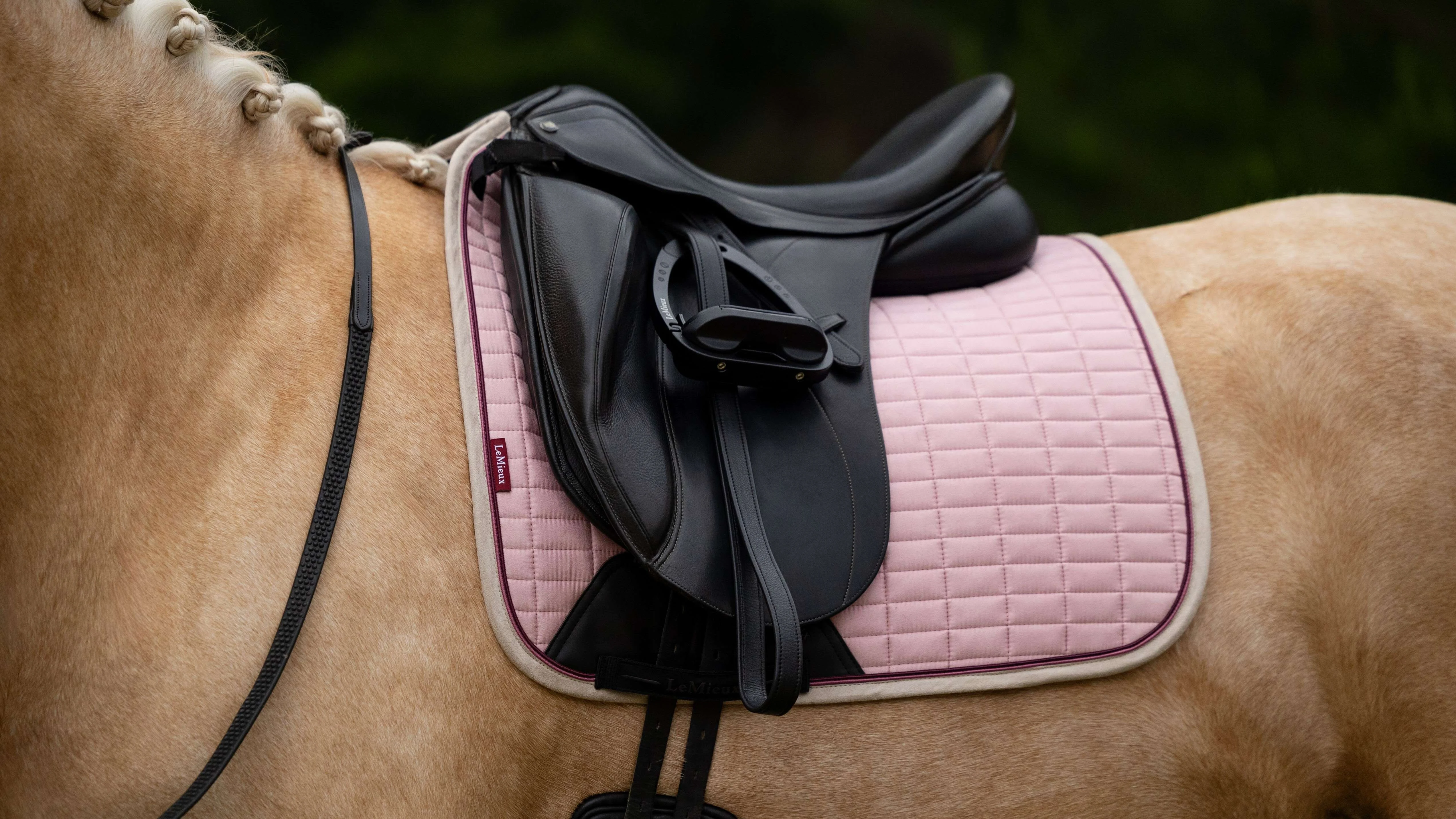 LeMieux Suede Dressage Square Blossom Large